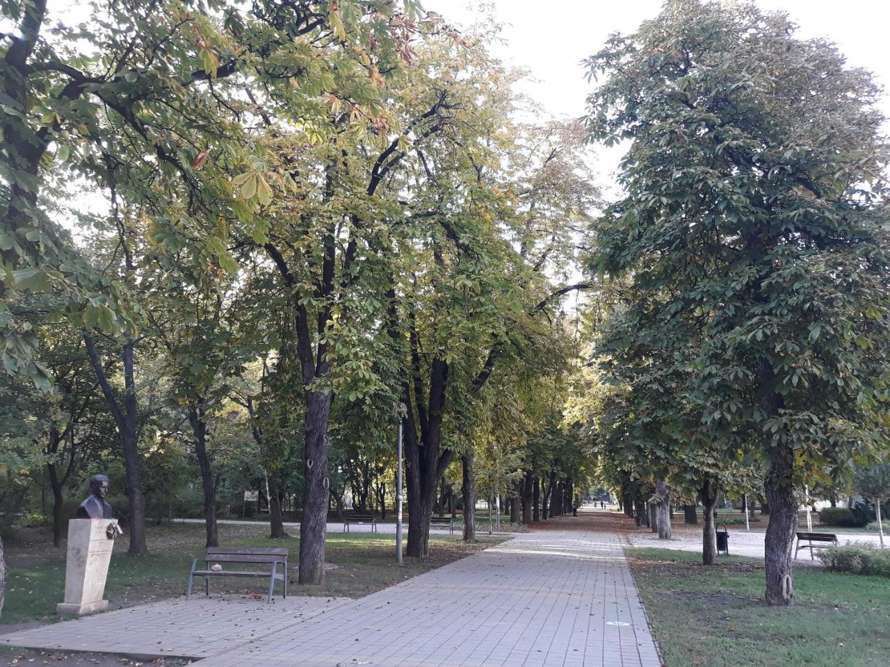 Liget Apartman Apartment