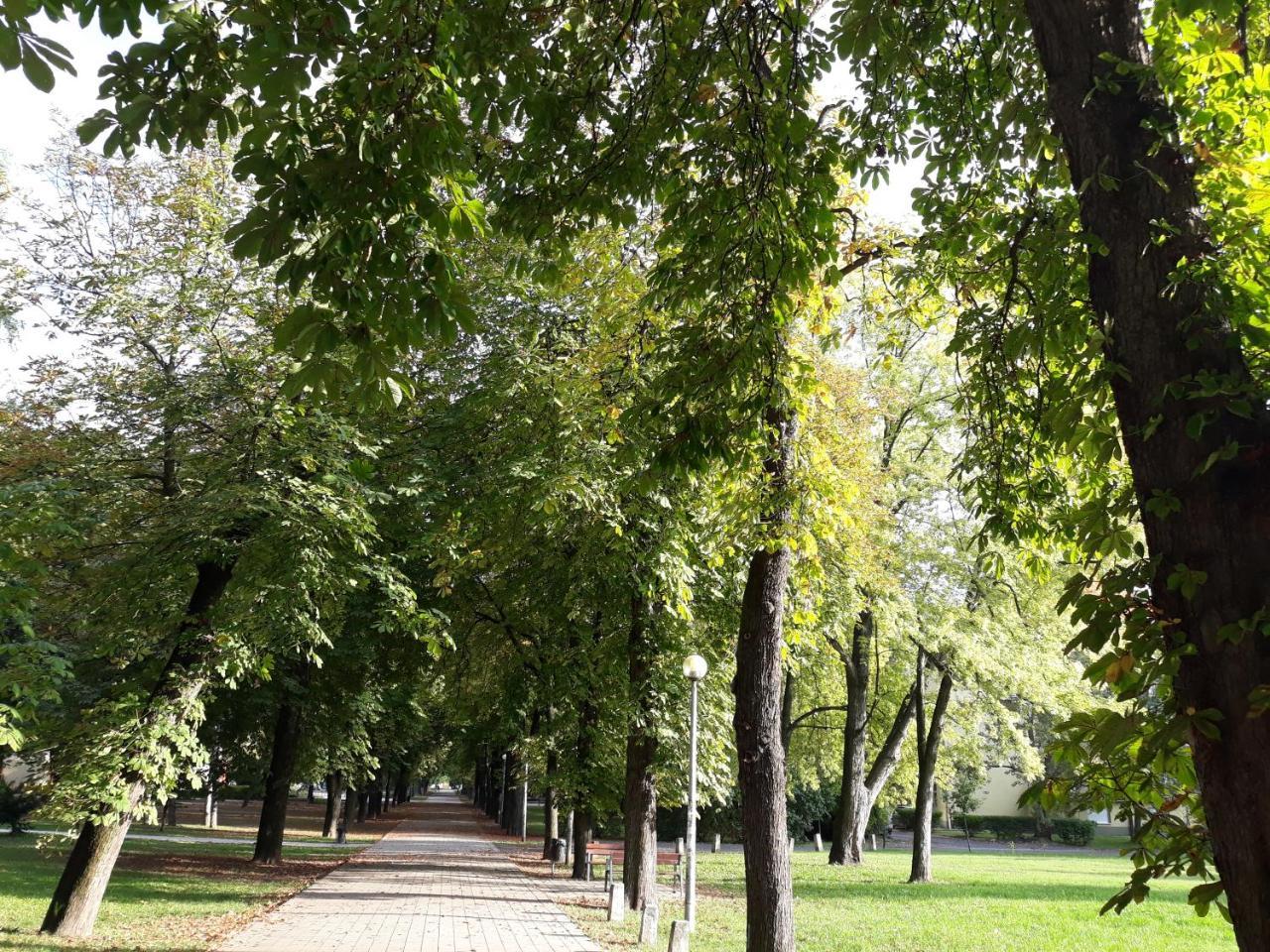 Liget Apartman Apartment Budapest